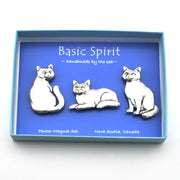 Three cat magnets in a blue box on white background.