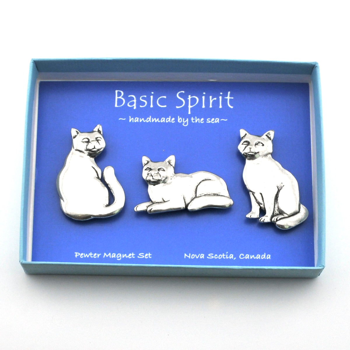 Three cat magnets in a blue box on white background.