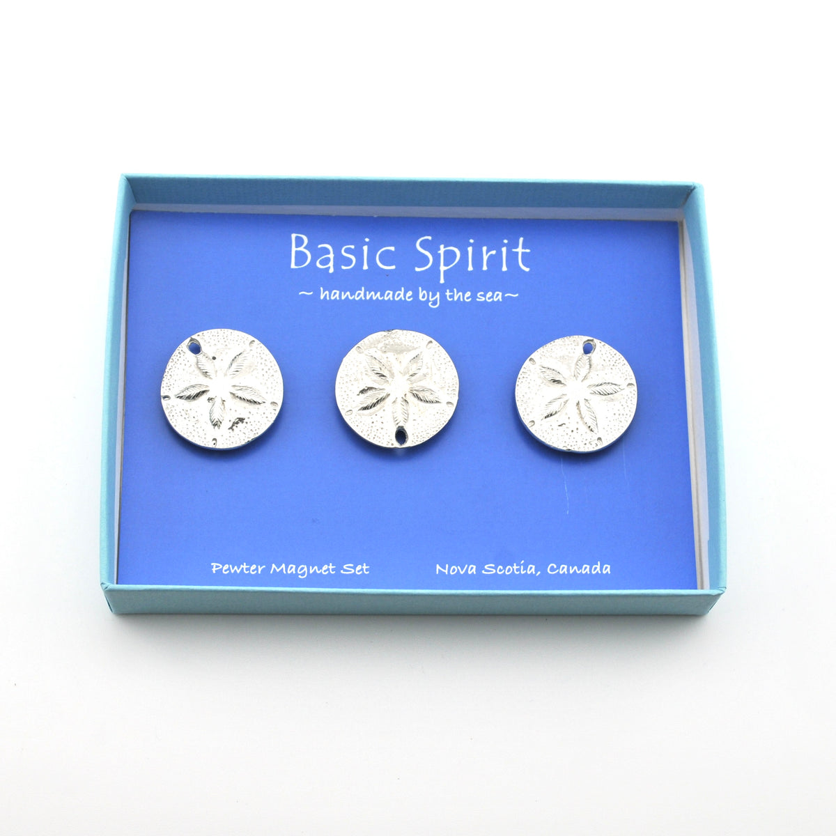 Sand dollar magnets in blue box on white background.