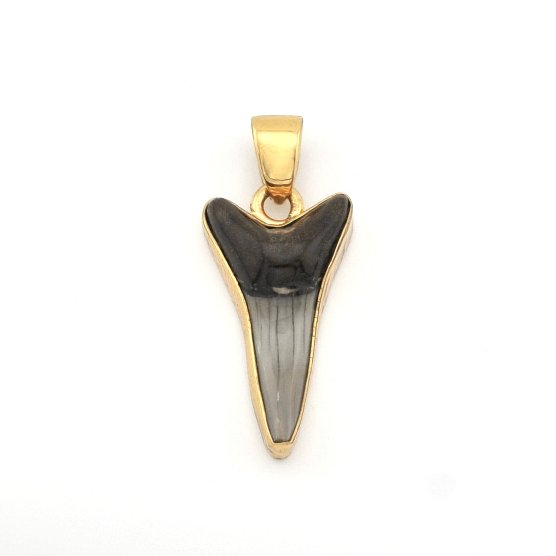 Sand Tiger Shark Tooth Pendant