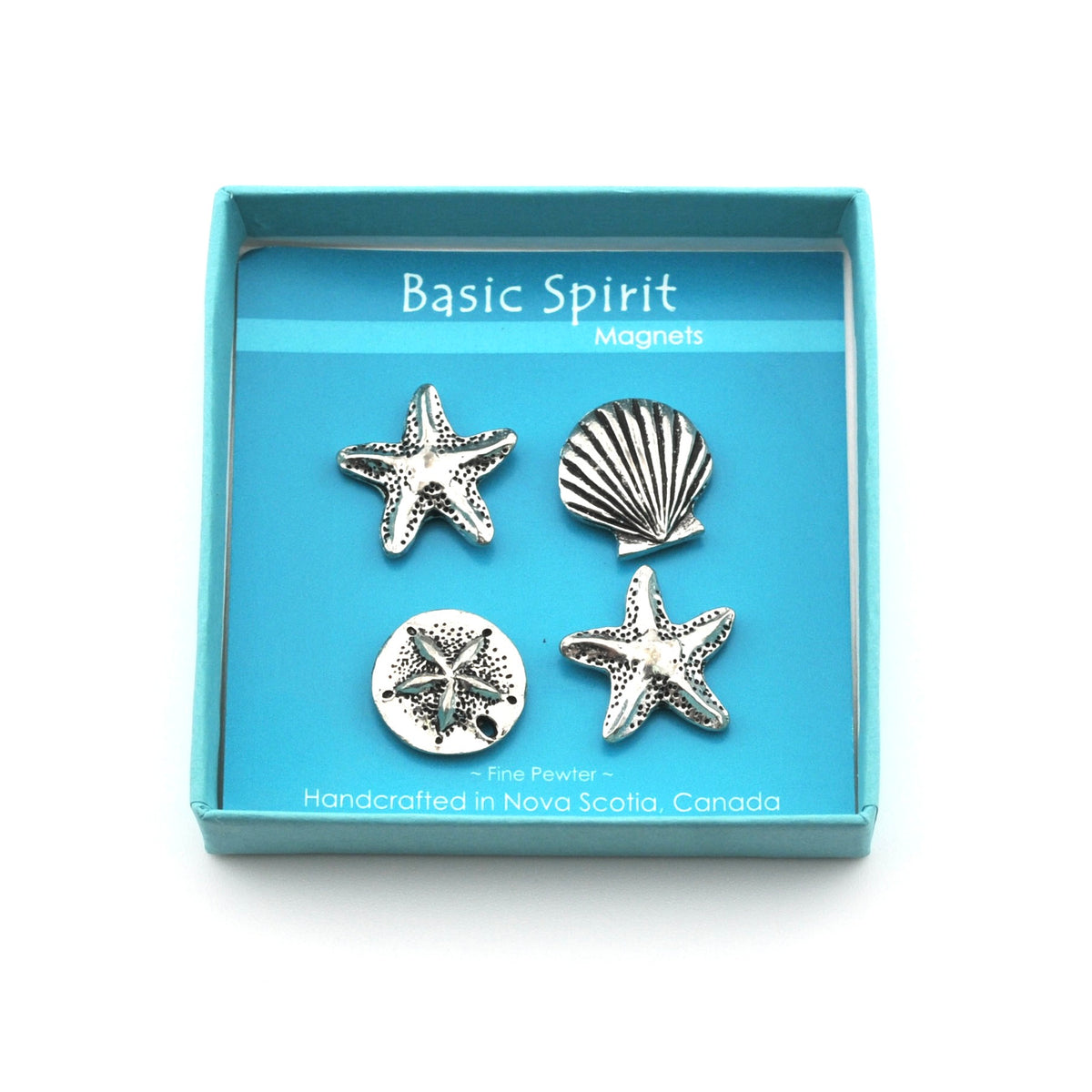 Box with 4 sea shell magnets on white background