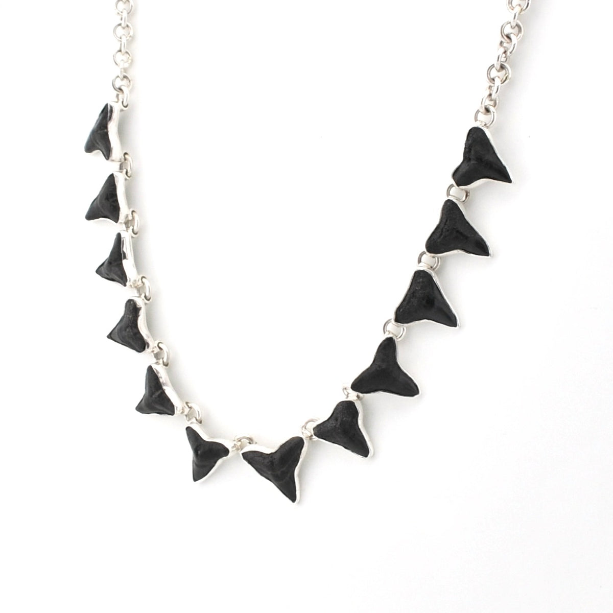 Shark teeth necklace on white backround.