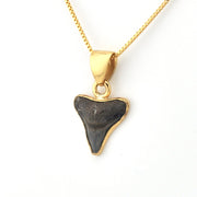 Side View Alchemia Fossil Shark Tooth Pendant