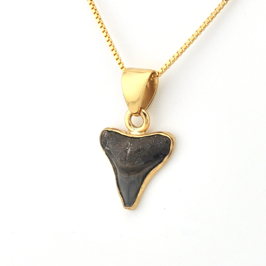 Side View Alchemia Fossil Shark Tooth Pendant
