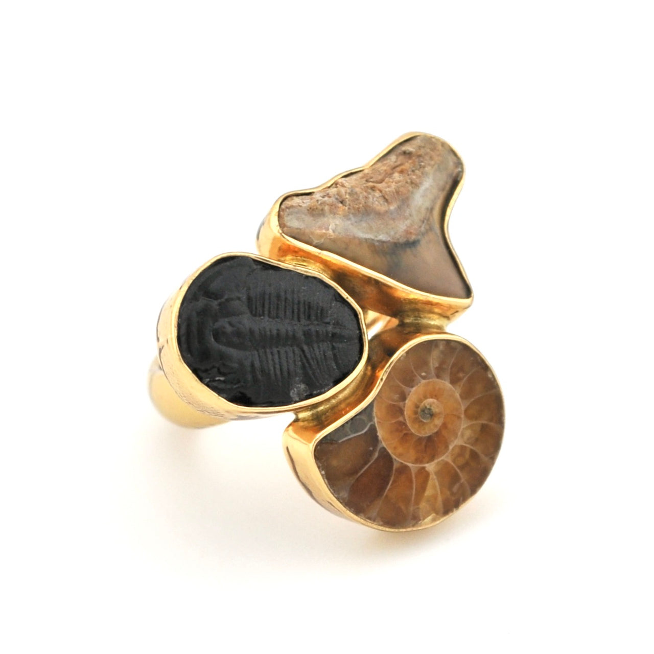 Gold ring with a black stone and ammonite fossil on a white background