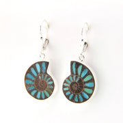 Pair of earrings with blue and brown circular designs on a white background