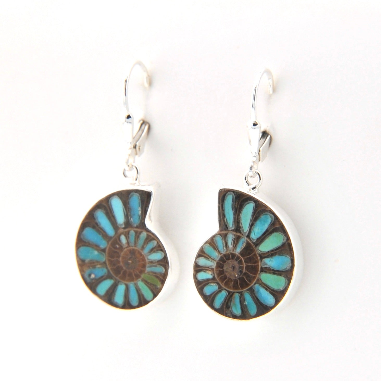 Pair of earrings with blue and brown circular designs on a white background