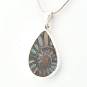 Teardrop-shaped fossil pendant on a white background