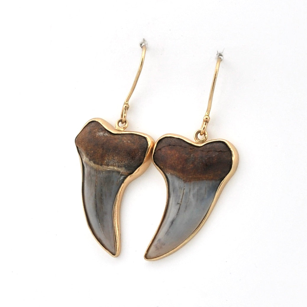 Side View Bakersfield Mako Shark Tooth Earrings
