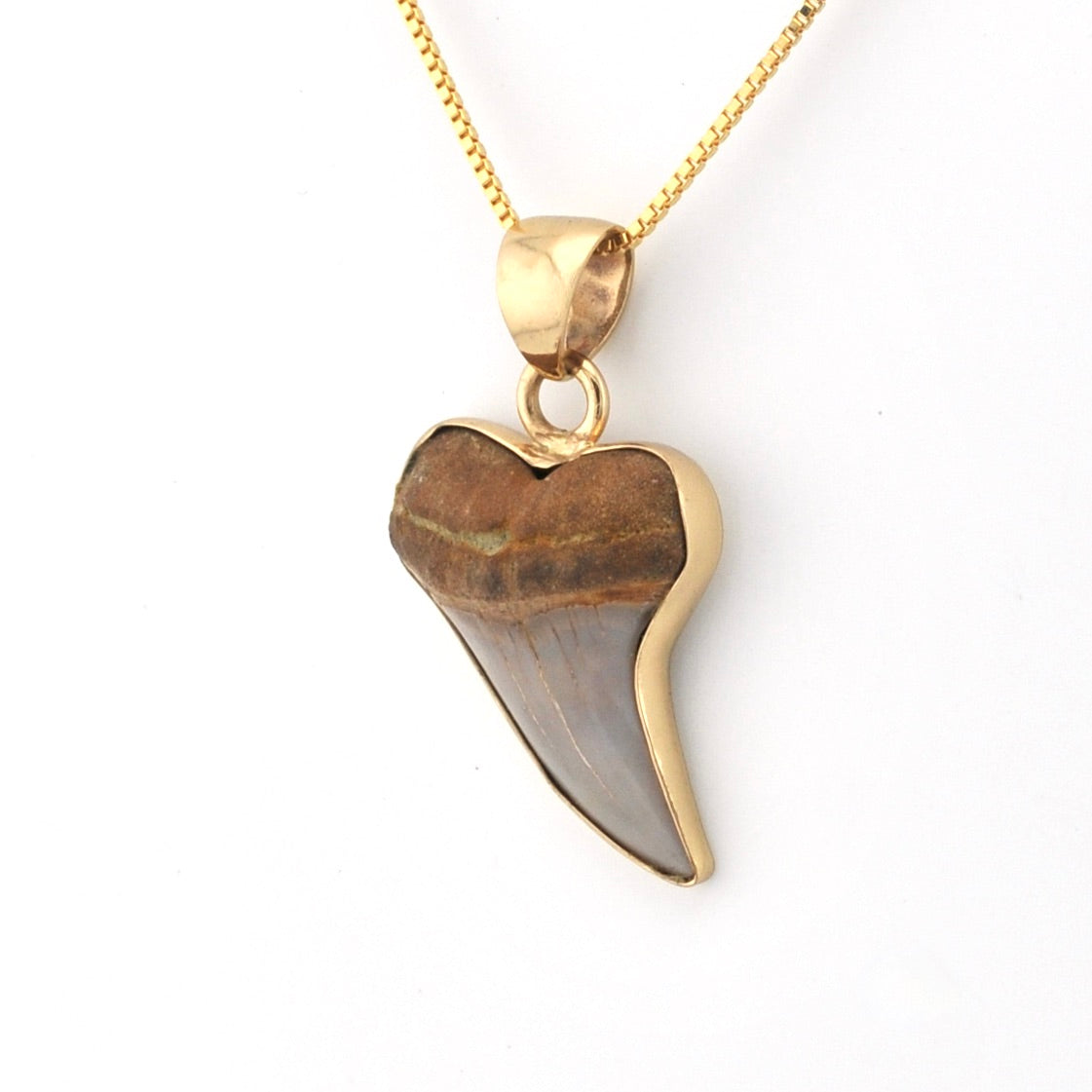 Side View Bakersfield Mako Shark Tooth Pendant