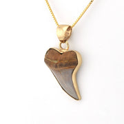 Side View Bakersfield Mako Shark Tooth Pendant