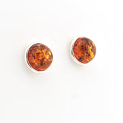 Pair of amber stud earrings on a white background