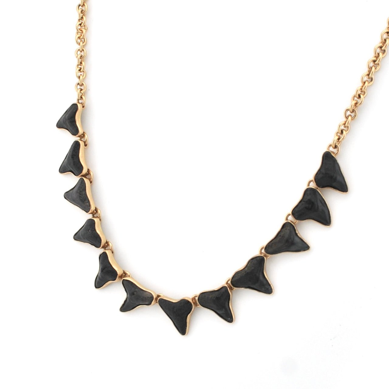 Side View Fossil Shark Tooth Necklace