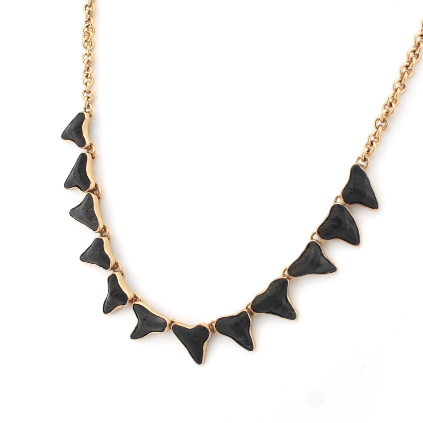 Side View Fossil Shark Tooth Necklace