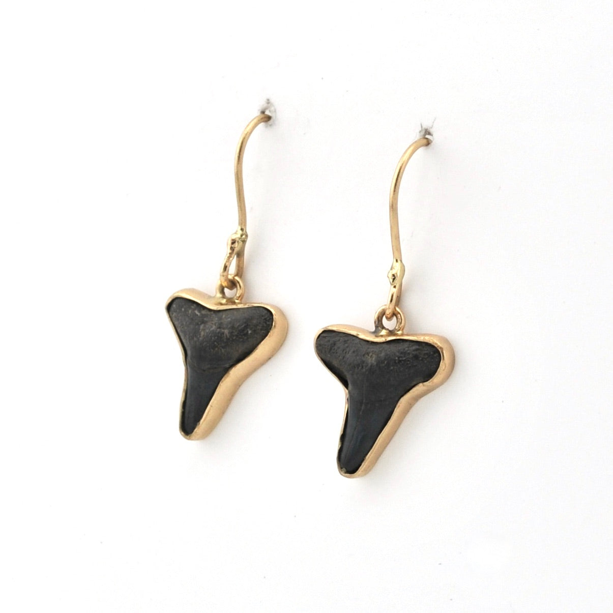 Side View Lemon Shark Tooth Earrings