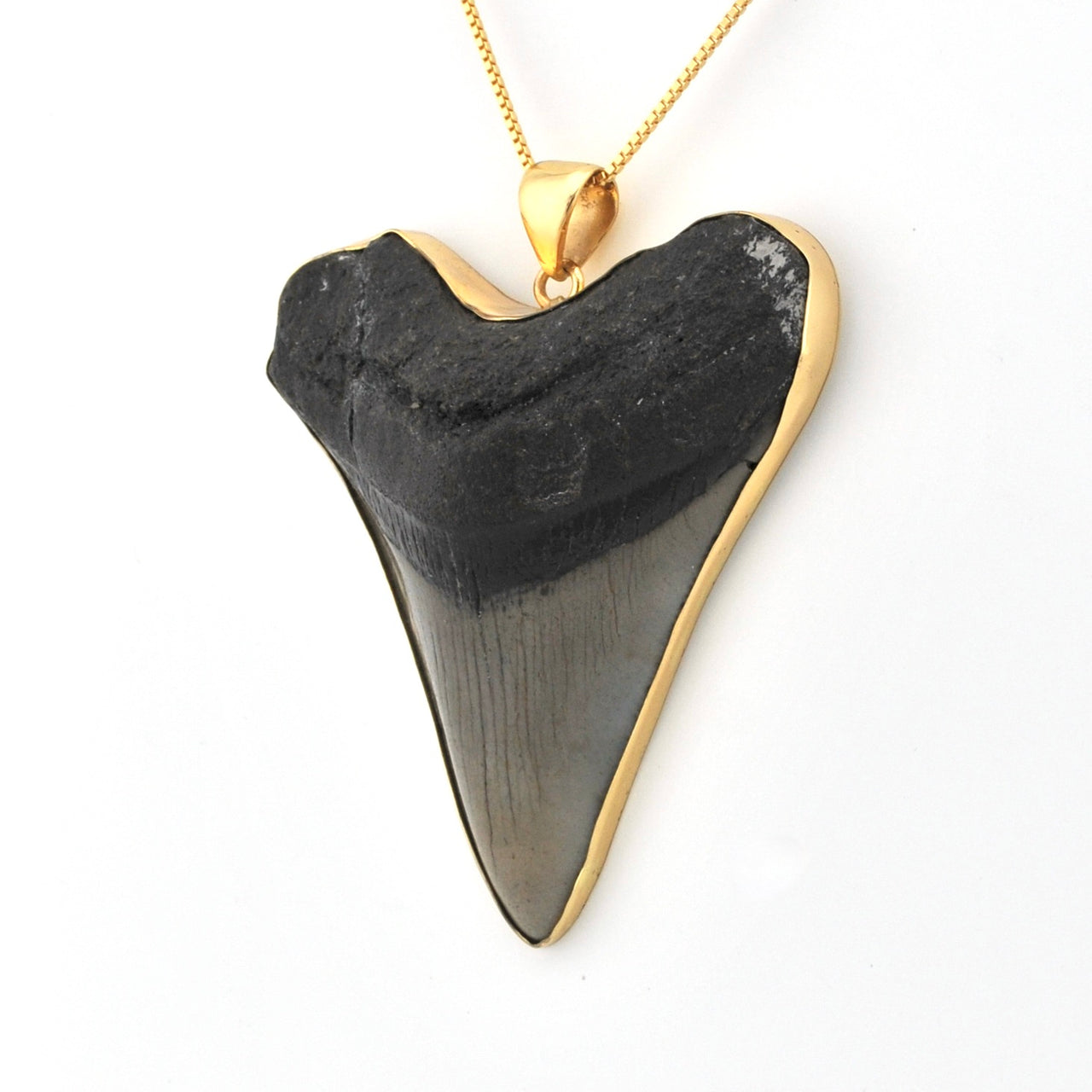 Side View Megalodon Shark Tooth 3.125" Pendant