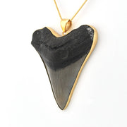 Side View Megalodon Shark Tooth 3.125" Pendant