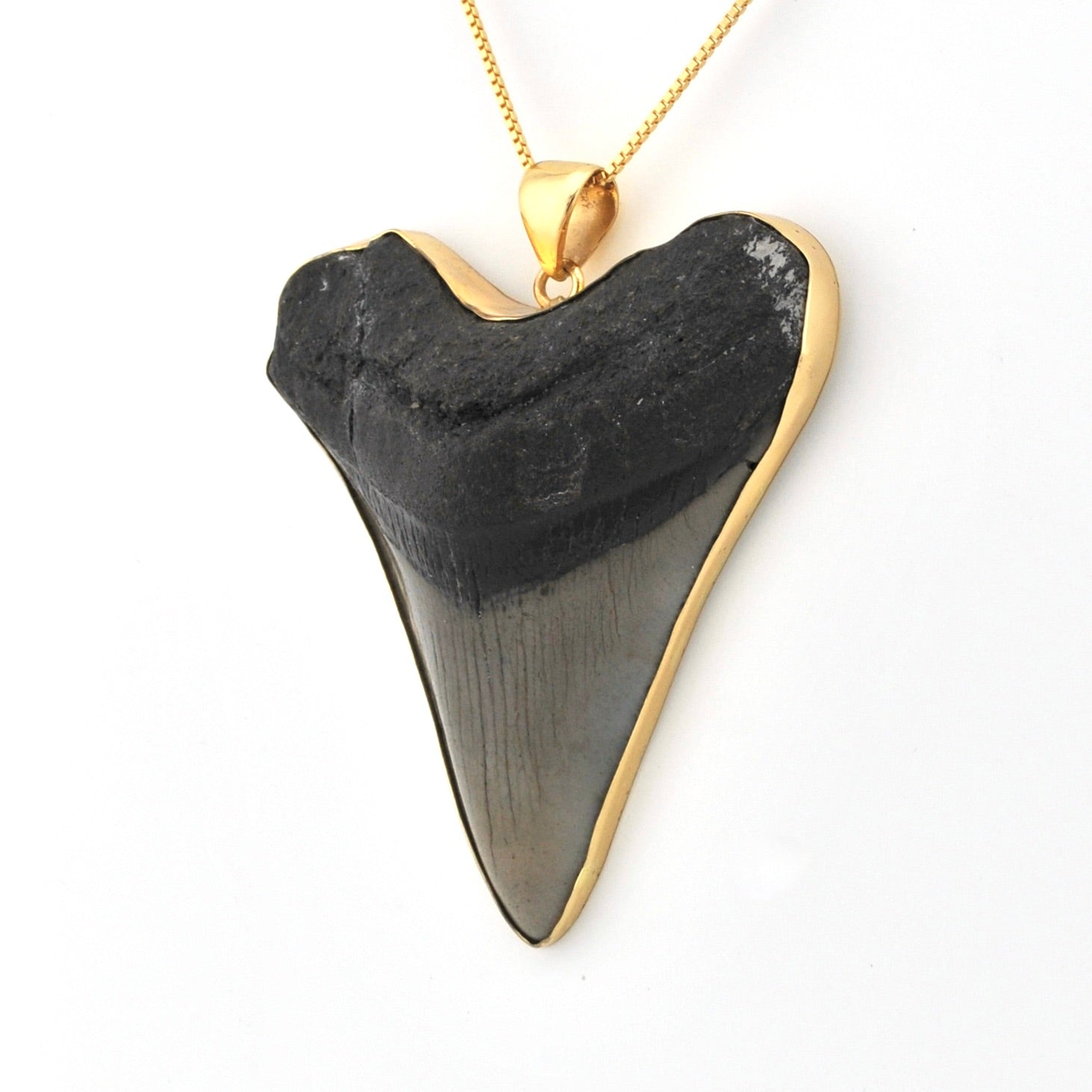 Side View Megalodon Shark Tooth 3.125" Pendant