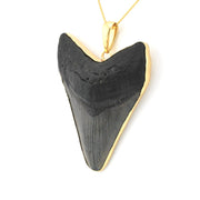 Side View Megalodon Shark Tooth 3.875" Pendant