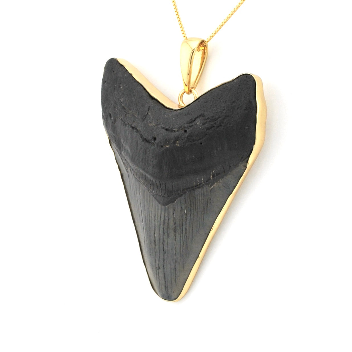 Side View Megalodon Shark Tooth 3.875" Pendant