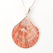 Shell pendant on a white background
