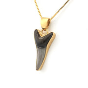 Side View Sand Tiger Shark Tooth Pendant