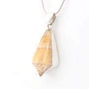 Silver and shell pendant necklace on a white background