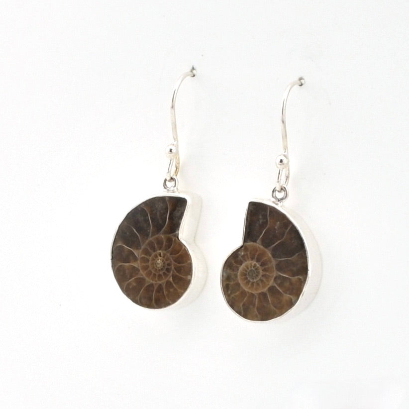 Ammonite fossil earrings on white background