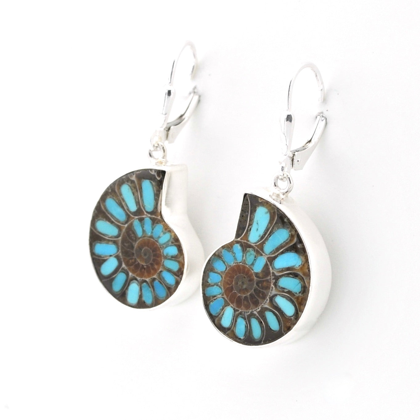 Pair of earrings with blue and brown design on a white background