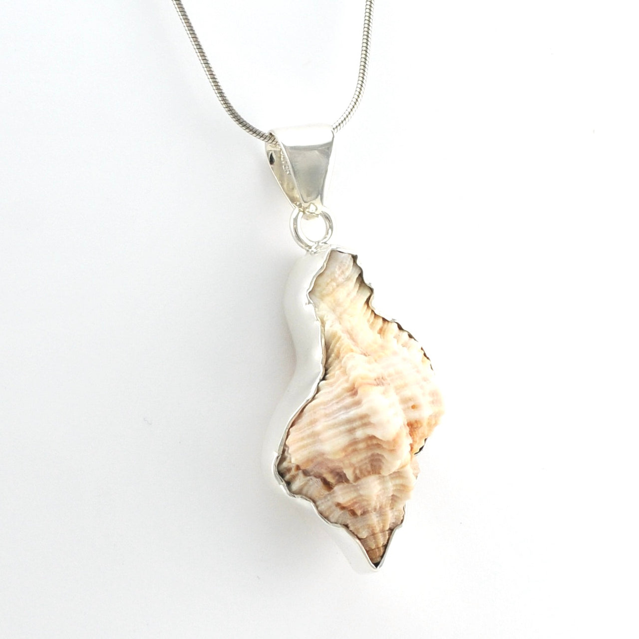 Side View Silver Cantharus Shell Pendant