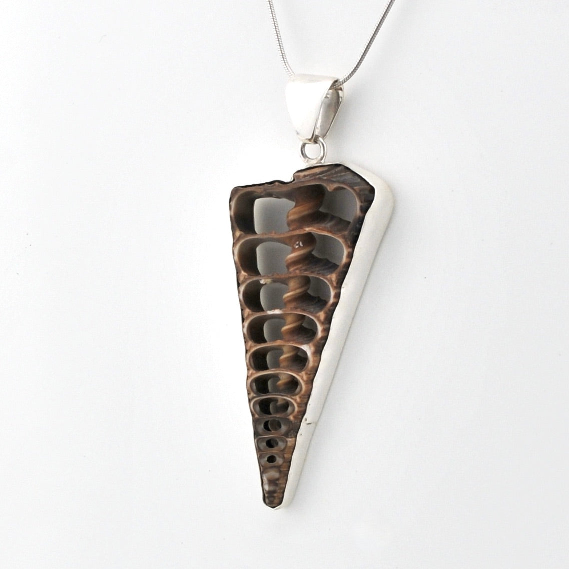 Side View Silver Cerithium Telescopium Shell Pendant