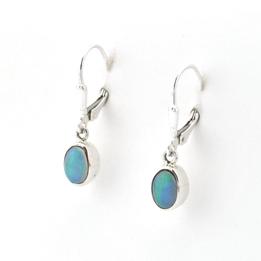 Pair of silver earrings with gemstones on a white background