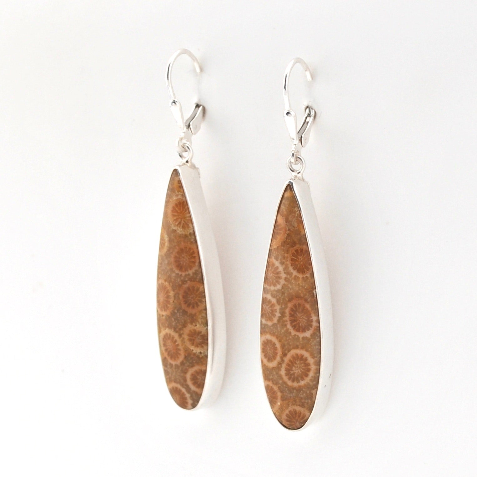 Pair of earrings with brown fossil coral on a white background