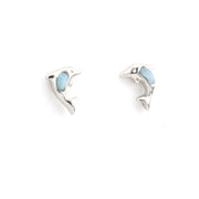 Pair of silver dolphin-shaped earrings with light blue centers on a white background