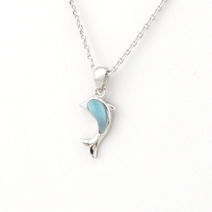 Silver necklace with a dolphin pendant featuring a blue center on a white background
