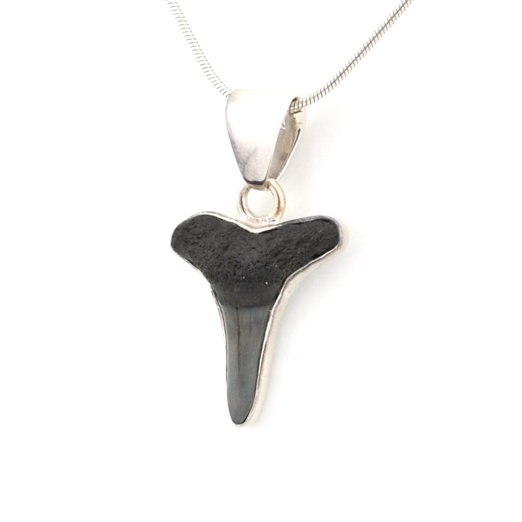 Side View Silver Lemon Shark Tooth Pendant
