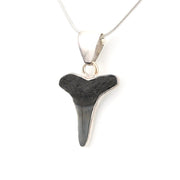 Side View Silver Lemon Shark Tooth Pendant