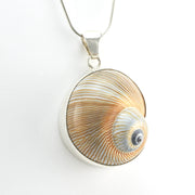 Side View Silver Moon Snail Shell Pendant