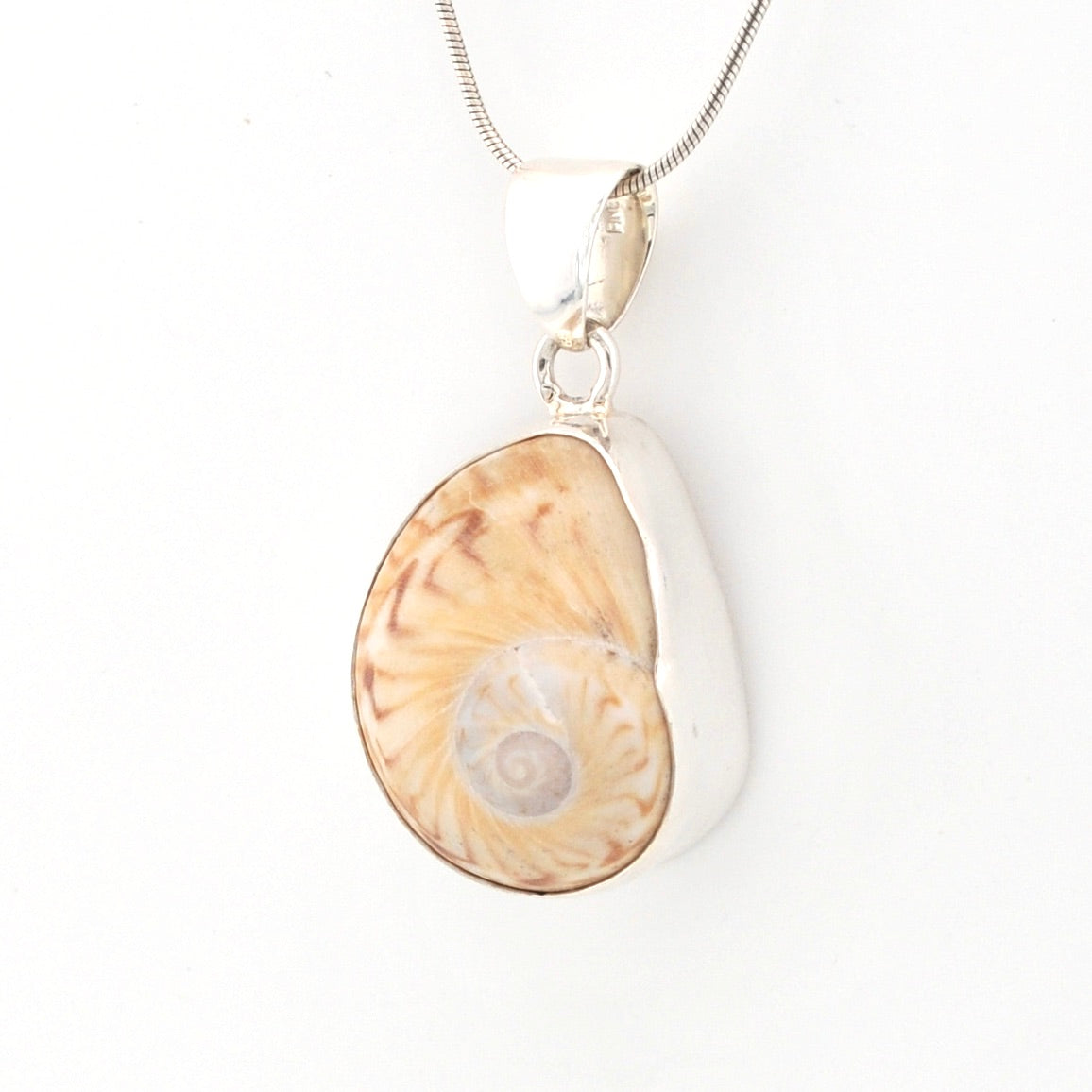 Sea Shell pendant on a silver chain against a white background