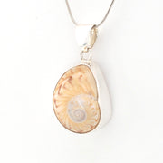 Sea Shell pendant on a silver chain against a white background