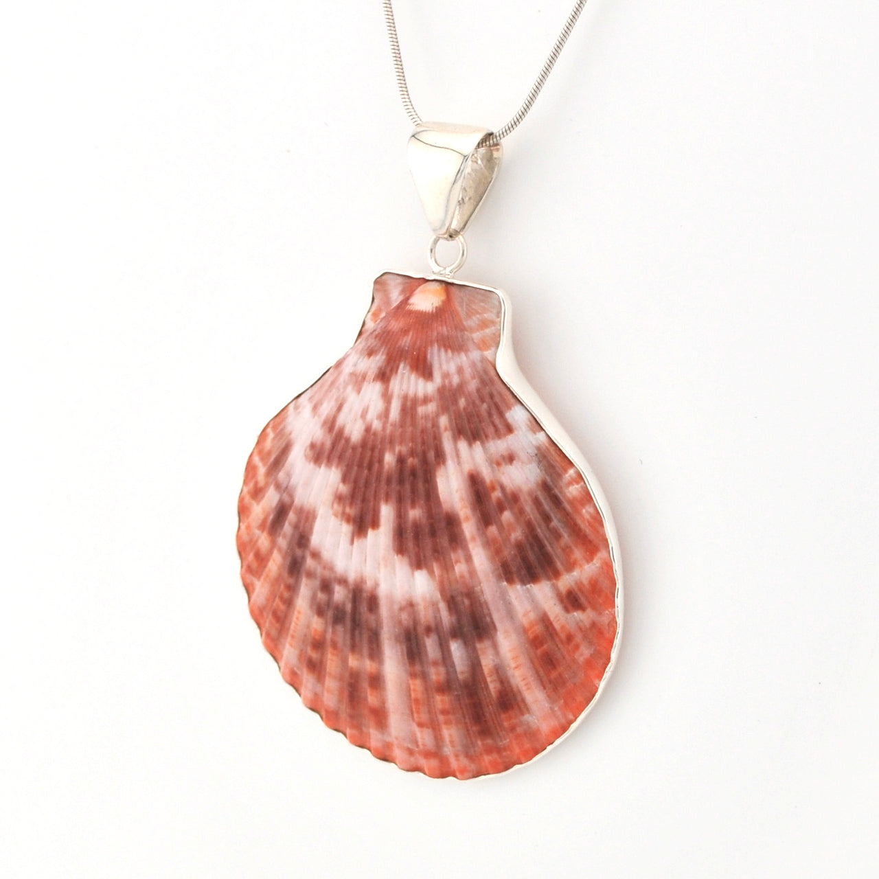 Shell pendant handmade with sterling silver on a white background