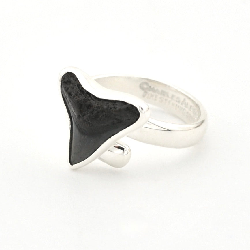 Silver ring with a black shark tooth on a white background