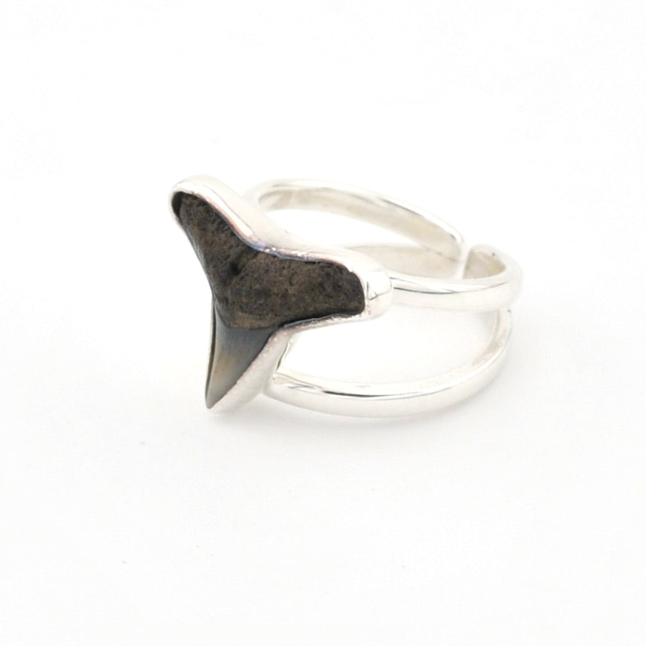 Silver ring with a shark tooth on a white background