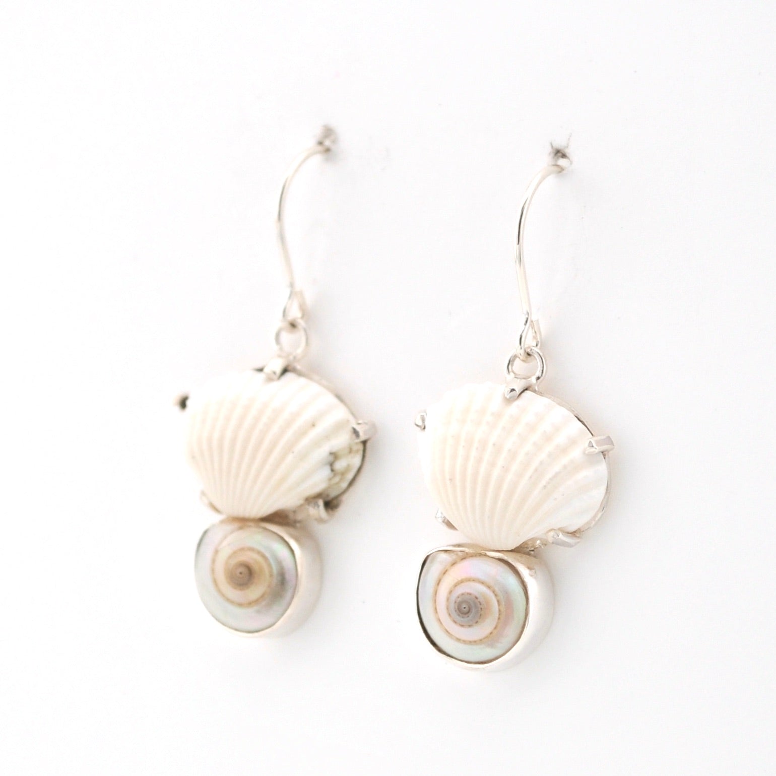 Shell earrings on a white background