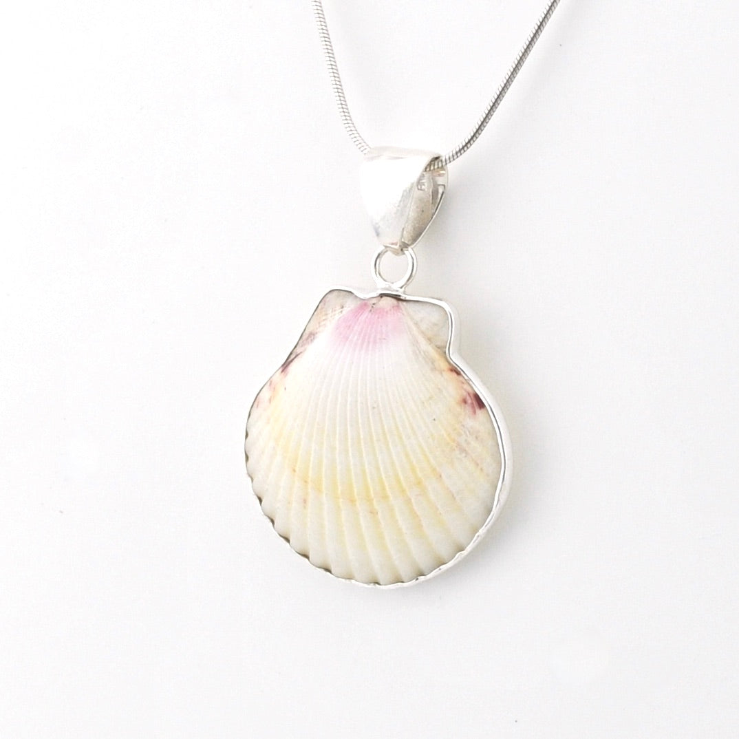 Side View Silver White Ark Shell Pendant