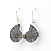 A pair of silver drop earrings featuring teardrop-shaped settings filled with iridescent fossil inlay, likely ammonite, on a plain white background.