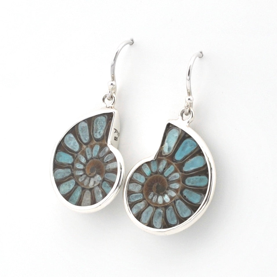 A pair of silver dangle earrings featuring polished spiral ammonite fossils with light blue and dark brown inclusions, set in silver hooks against a plain white background.