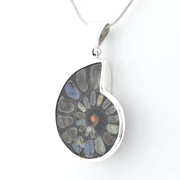 A silver pendant necklace featuring a polished ammolite shell-shaped stone with a spiral pattern of gray, blue, and green iridescent inclusions, suspended from a silver chain against a white background.