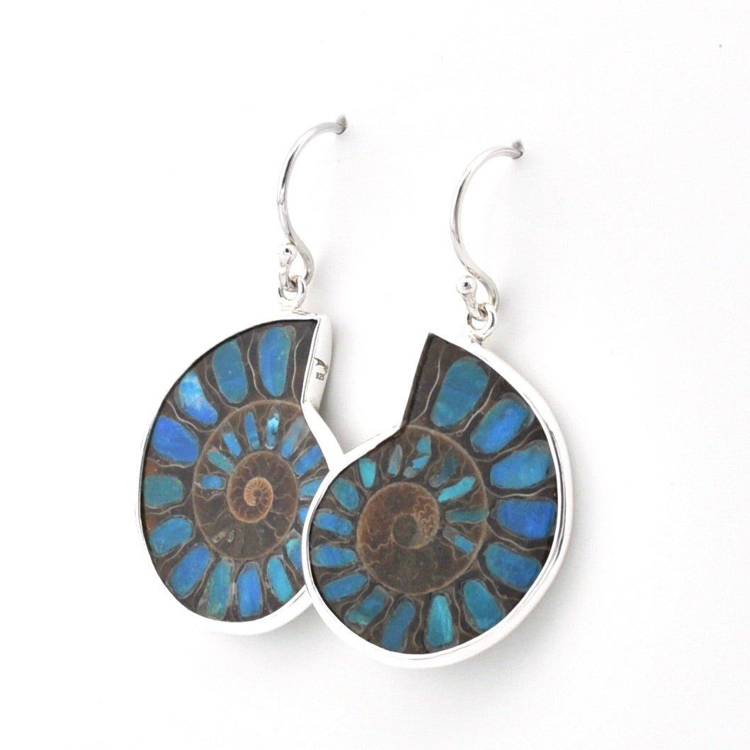 A pair of silver dangle earrings featuring oval-cut ammolite shells with a spiral pattern of vibrant blue, teal, and brown, set against a plain white background.