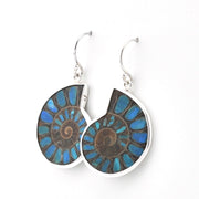 A pair of silver dangle earrings featuring oval-cut ammolite shells with a spiral pattern of vibrant blue, teal, and brown, set against a plain white background.